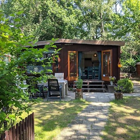 Sfeervol Chaletje In Een Rustige Bosrijke Omgeving Diessen Exterior photo