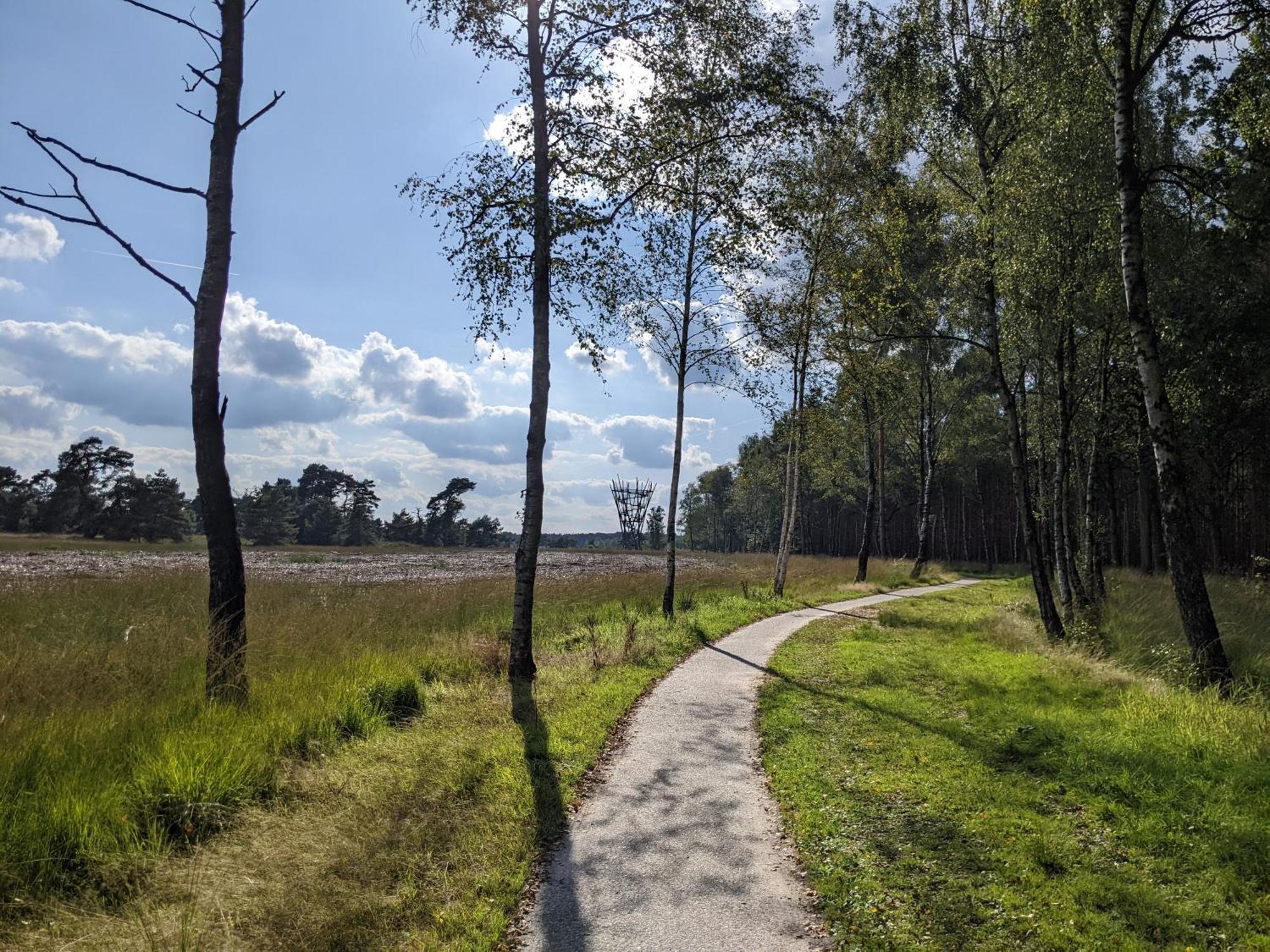 Sfeervol Chaletje In Een Rustige Bosrijke Omgeving Diessen Exterior photo